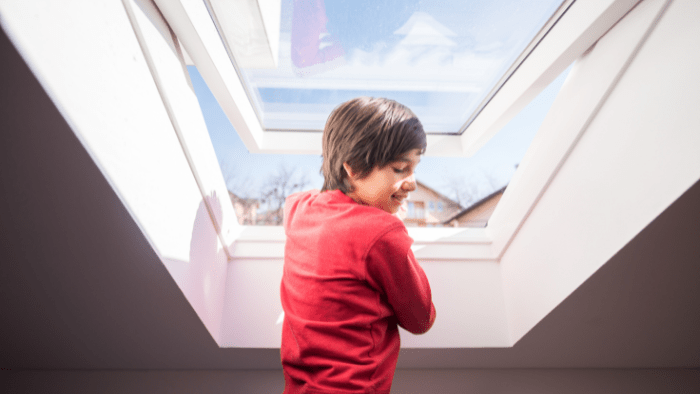 Creating a Multilingual Marketing Website for a Leading Manufacturer of Roof Windows