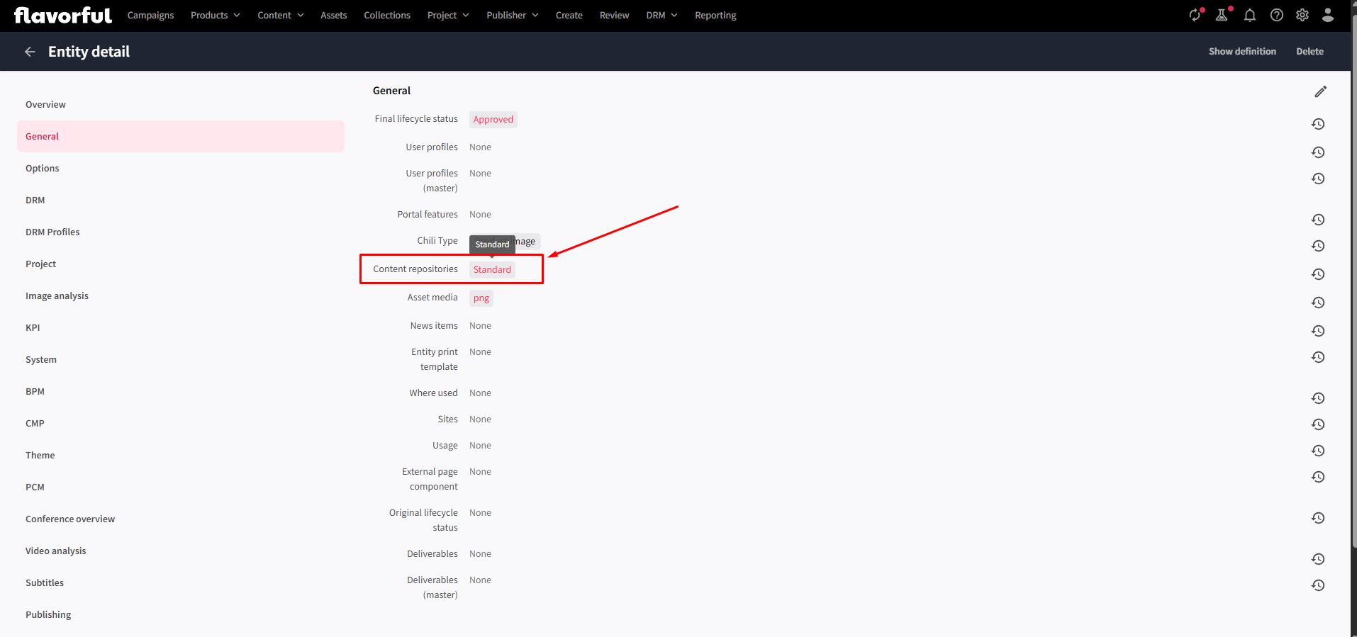 entity details and repository