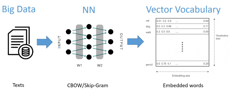 Vector Vocaburary